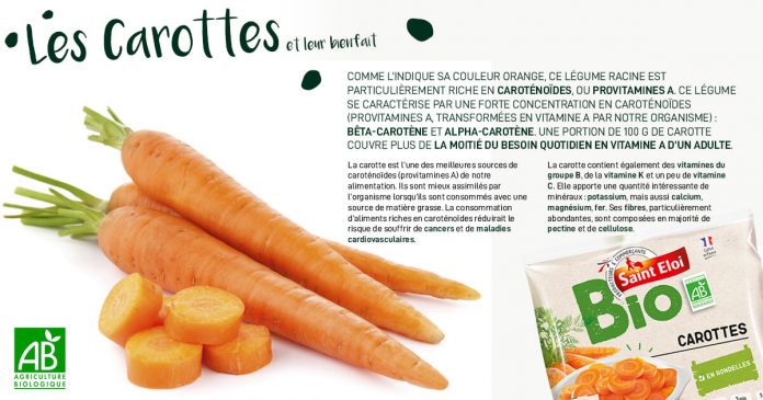 Les carottes et leur bienfait